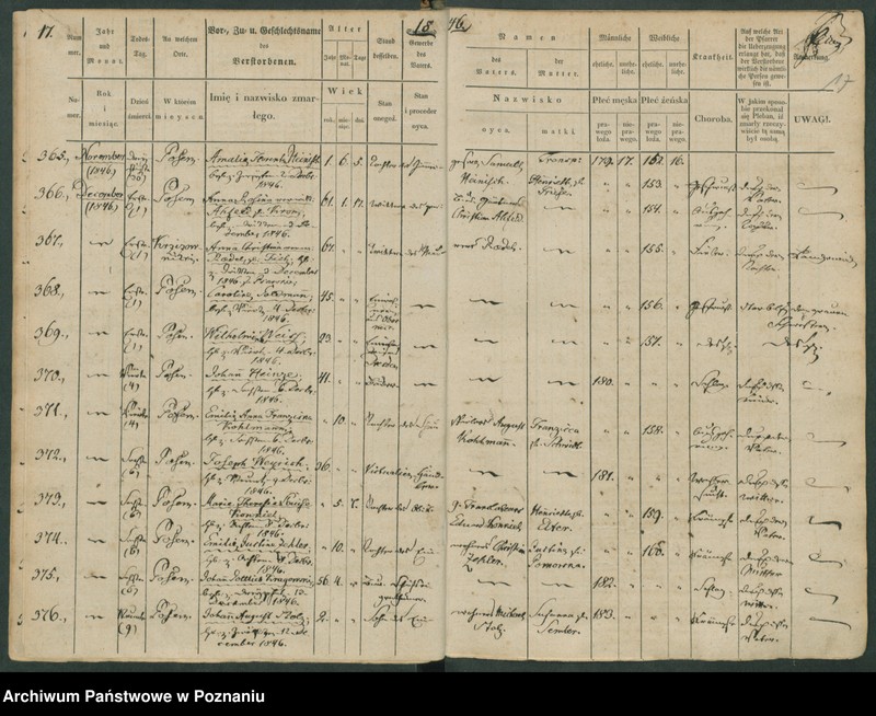 Obraz 18 z jednostki "Sterbenbuch"