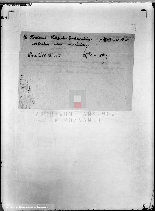 Obraz 20 z jednostki "/Polski Związek Bokserski w Poznaniu/"