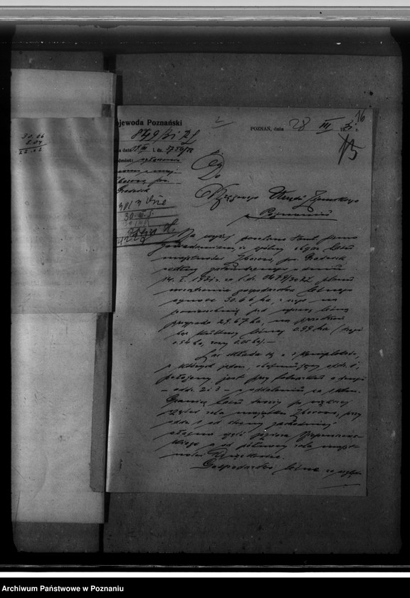 Obraz 20 z jednostki "Majętność leśna Zborowo powiat poznański"