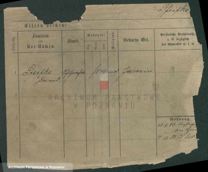 Obraz 9 z jednostki "Pfeifke - Pfleging"