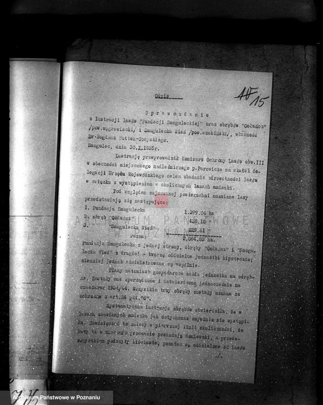 Obraz 19 z jednostki "Majętność /leśna/ Smogulecka Wieś powiat szubiński"