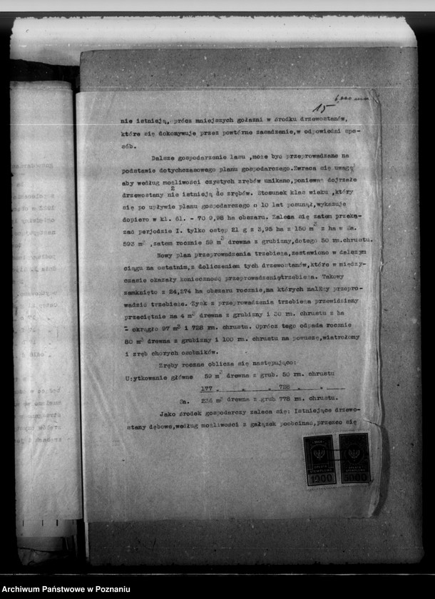 Obraz 19 z jednostki "Majętność leśna Górzno-Bojanice powiat leszczyński"