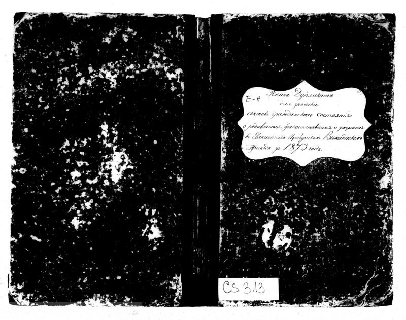 image.from.unit.number "Kniga Duplikat dlja zapiski aktov graždanskago sostojanija o rodivšichsja, brakosočetavšichsja i umeršich v Jevangeličesko-Augsburgskom Vižajnskom Prichode za 1873 god"