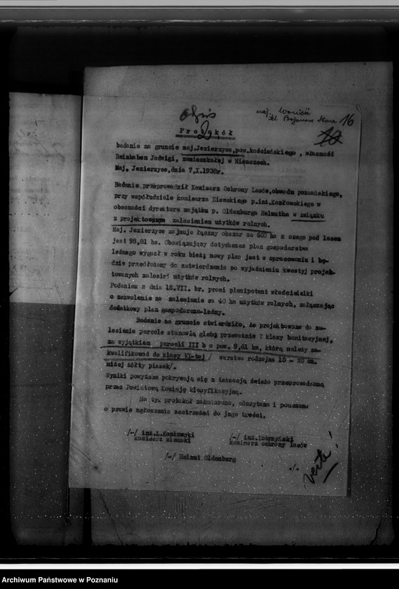 Obraz 20 z jednostki "Nadzór nad gospodarką w lasach majętności Jezierzyce"