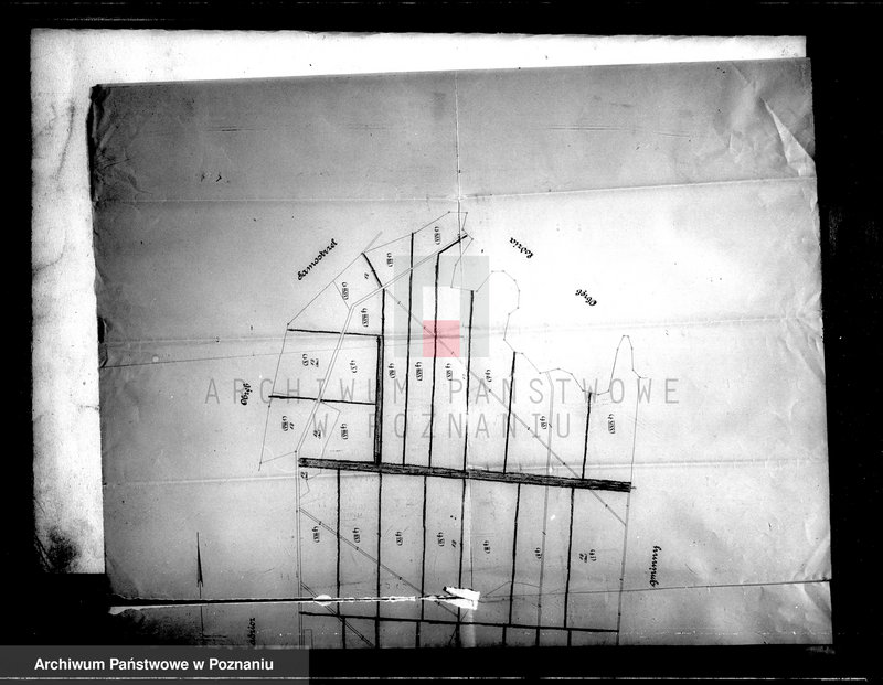 Obraz 7 z jednostki "Majątek Dębowo powiatu wyrzyskiego parcelacja rządowa"