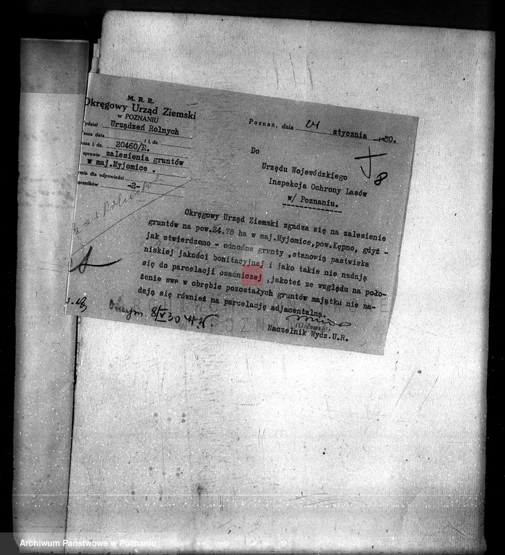 Obraz 12 z jednostki "Majętność Myjowice powiat kępiński"