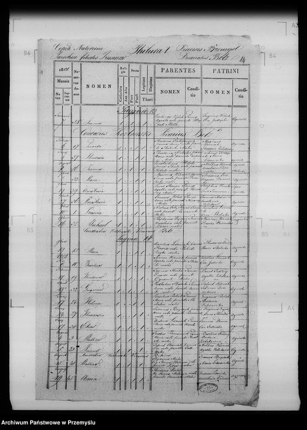 Obraz 18 z jednostki "[Kopie ksiąg metrykalnych parafii Bełz z filiami Prusinów, Tuszków, Witków (dekanat Bełz)]"