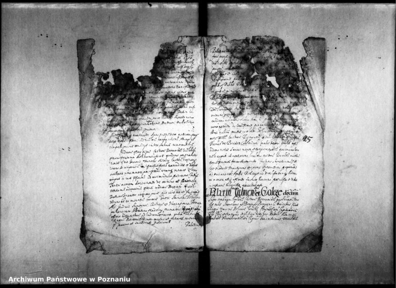 Obraz 7 z jednostki "Decreta officii [inducta]"