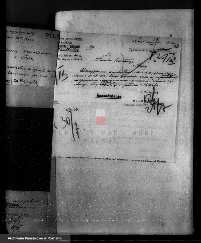 Obraz 15 z jednostki "Ustalenie powierzchni leśnej majątku Wilczyno-Podole powiat słupecki oraz nieprawne wyręby lasu"