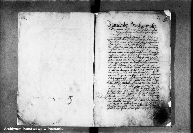 Obraz 6 z jednostki "Inscriptiones, relationes [inducta]"