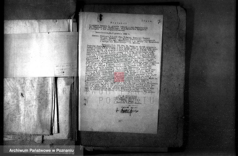 Obraz 11 z jednostki "Gmina Niewiesz powiat turecki /nadzór nad gospodarką leśną/"