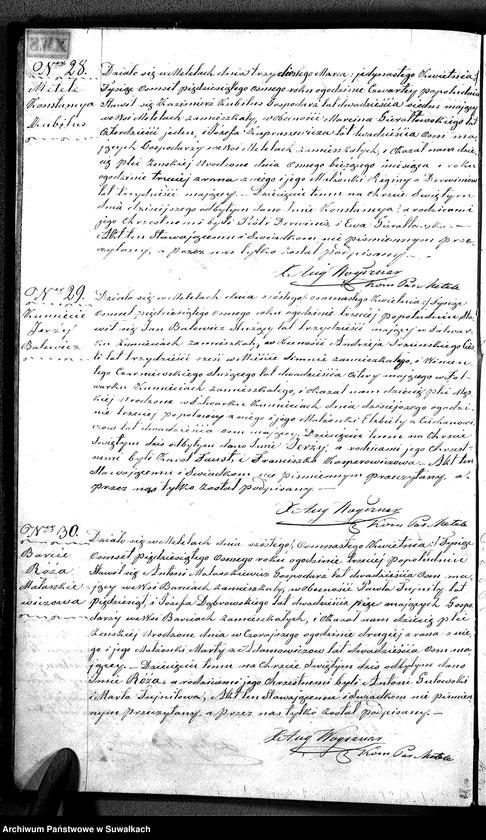 Obraz 15 z jednostki "D.L. P. Metel 1858"