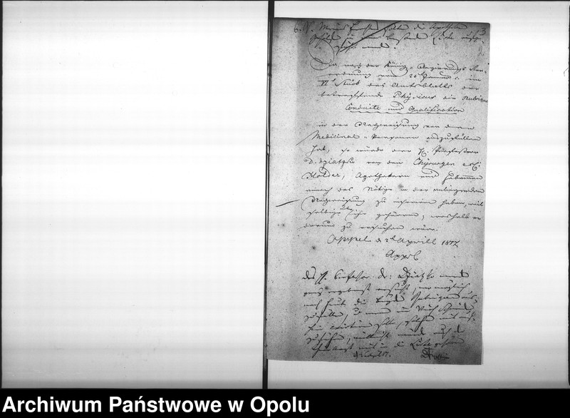 Obraz 7 z jednostki "Acta von Anfertigung und Einsendung der Nachweisungen des Medicinal Personals bey der Stadt Oppeln Vol. I pro 1817"