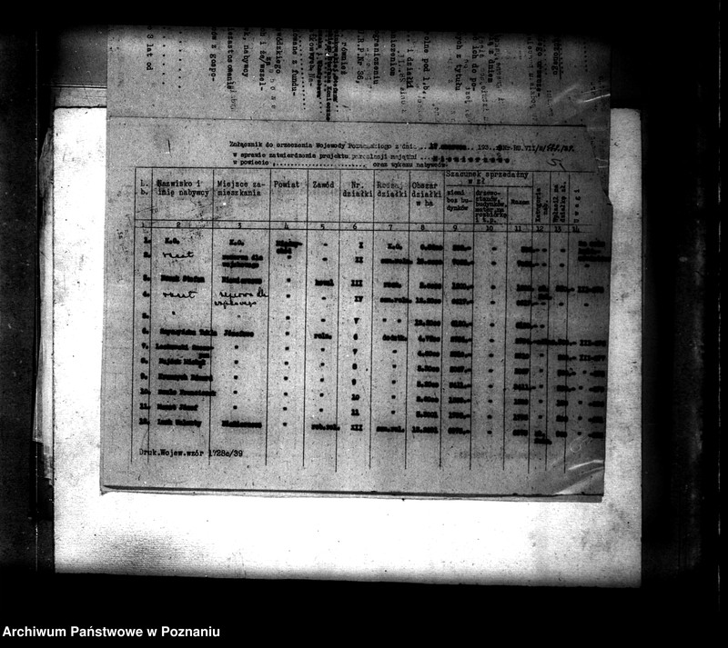 Obraz 9 z jednostki "Majątek Niemierzewo, Lubosz powiatu międzychodzkiego parcelacja"