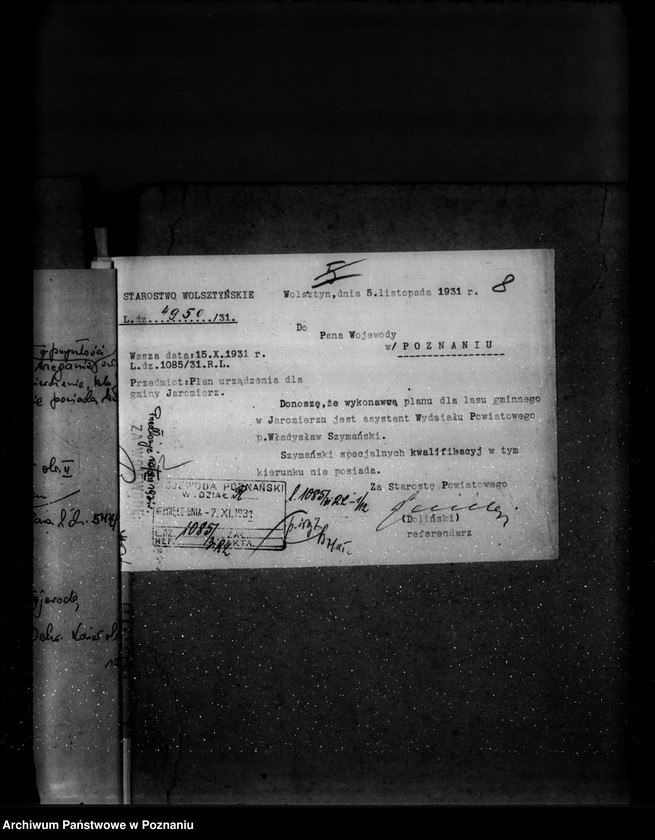 Obraz 13 z jednostki "Las gminy Jaromierz powiat wolsztyński"