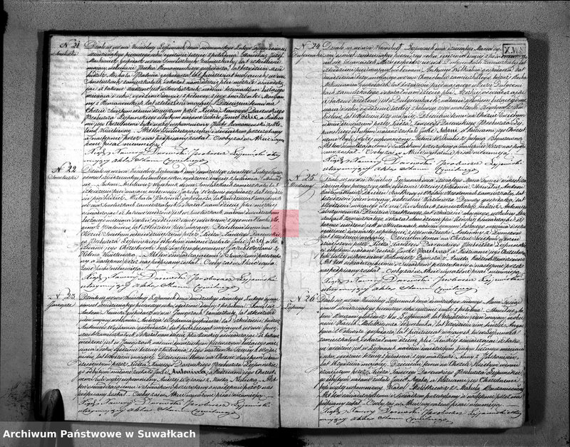 Obraz 8 z jednostki "D. Ł. Par. Leypuny 1861"
