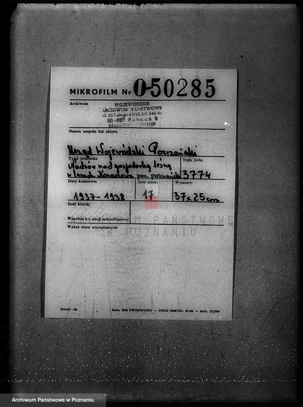 Obraz 2 z jednostki "Nadzór nad gospodarką w lasach Konarzewa powiatu rawickiego"