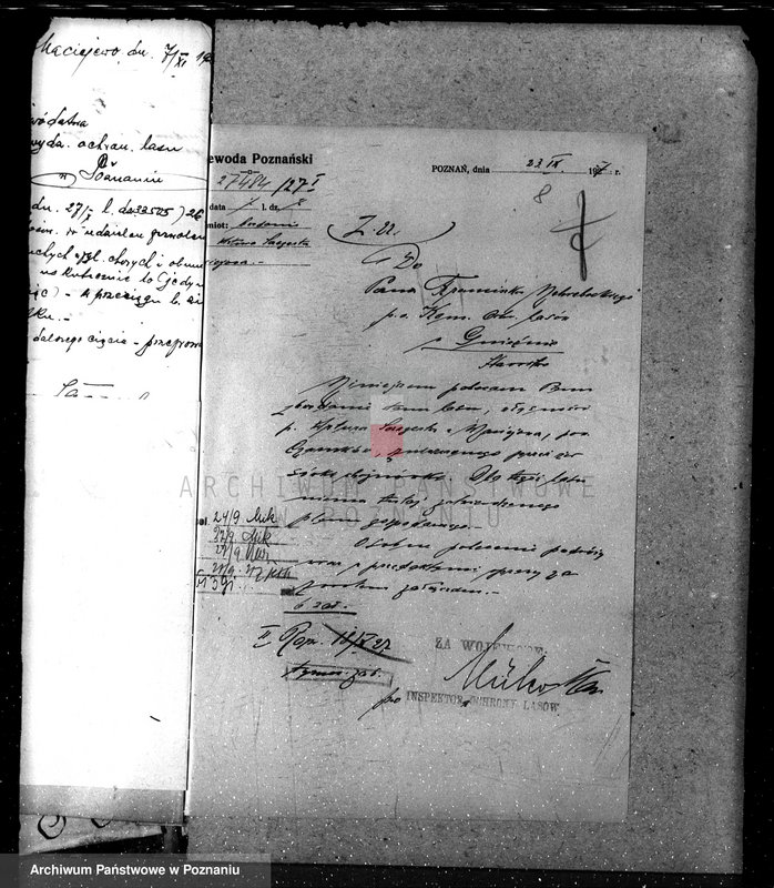 Obraz 12 z jednostki "Nadzór nad lasami majętności Maciejewo w powiecie czarnkowskim"