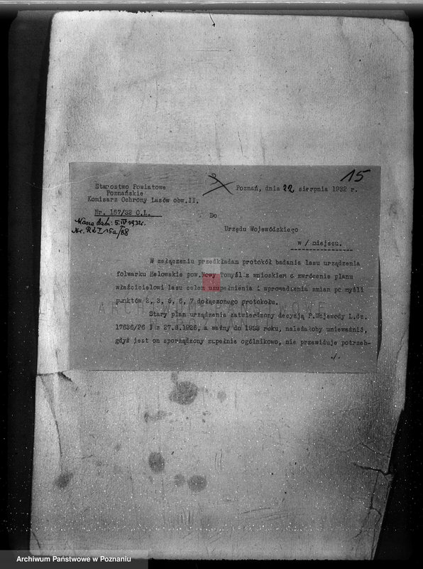 Obraz 20 z jednostki "/Nadzór nad gospodarką w lasach majątku Lubień-Helowskie w powiecie nowotomyskim"