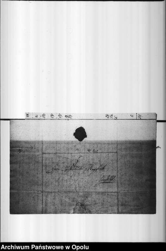 Obraz 12 z jednostki "Acta von Abstellung der Neujahrs - Umgänge der hiesigen katholischen Geistlichkeit Vol. I de anno 1821"