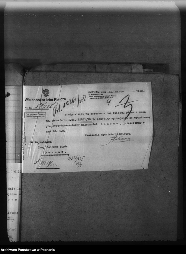 Obraz 9 z jednostki "Majętność leśna Łukowo powiat obornicki"