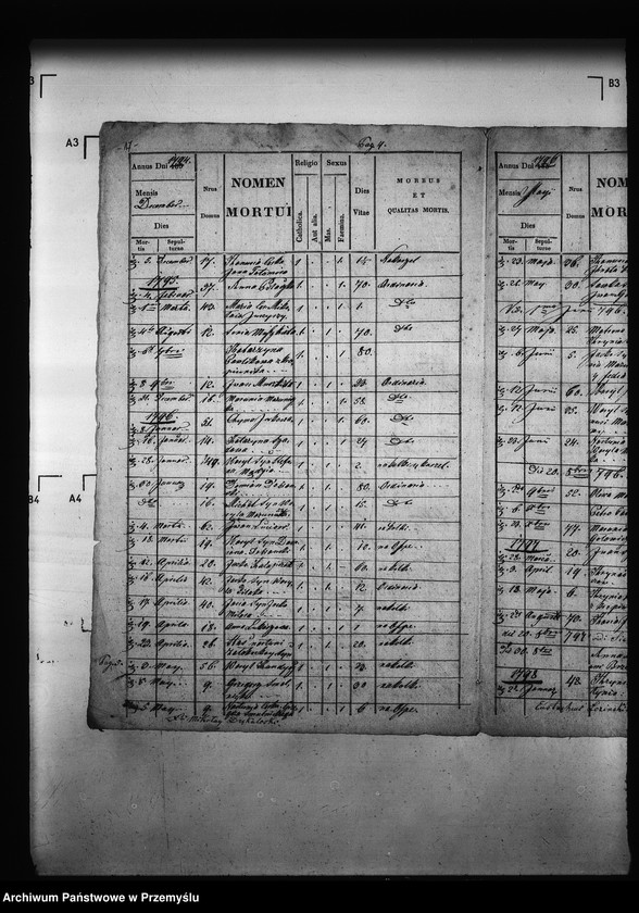 Obraz 20 z jednostki "[Kopie ksiąg metrykalnych parafii Bystrzyca (dekanat Podbuż)]"