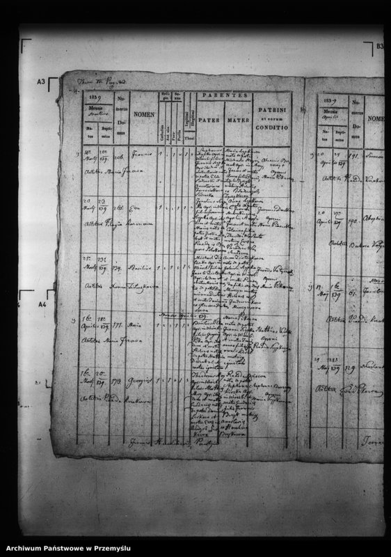 Obraz 8 z jednostki "[Kopie ksiąg metrykalnych parafii Wierzbiany (dekanat Niemirów)]"