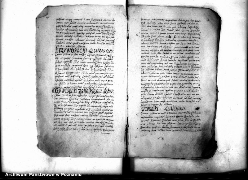 Obraz 12 z jednostki "Inscriptiones [inducta]"