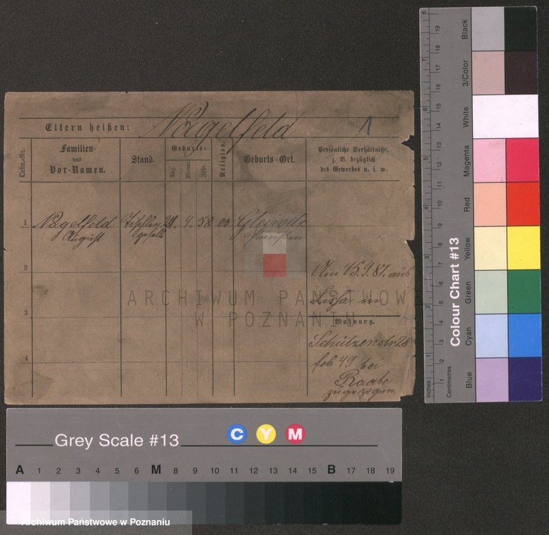 Obraz 1 z jednostki "Nagelfeld - Najgrakowski"