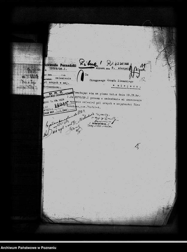 Obraz 15 z jednostki "/Majętność Nietuszkowo powiat chodzieski wyłączenie z art.. 4 i 5/ ustawy o wykonaniu reformy rolnej"