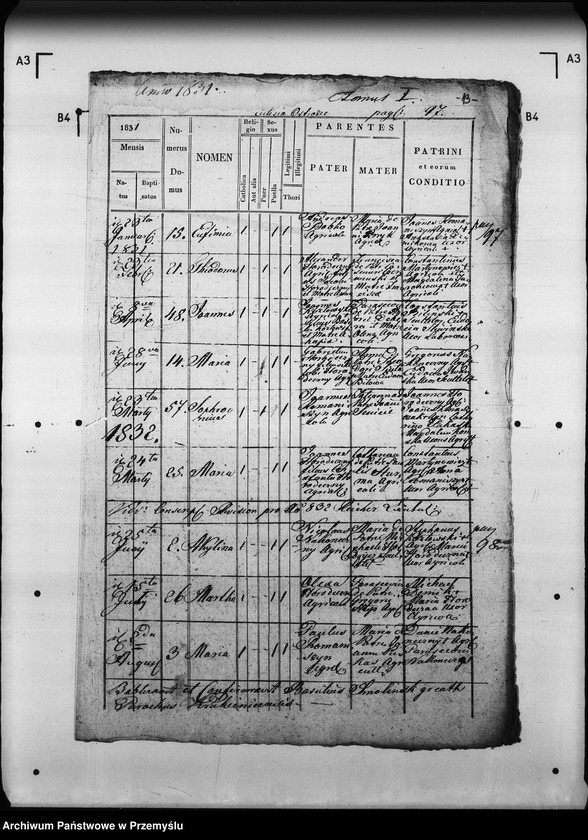 Obraz 17 z jednostki "[Kopie ksiąg metrykalnych parafii Krukienice z filią Ostrożec (dekanat Mościska)]"