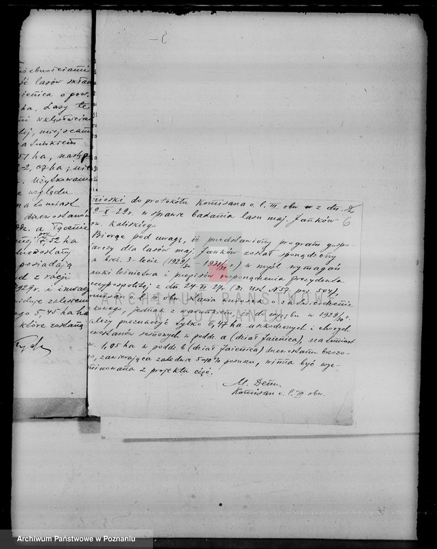 Obraz 10 z jednostki "Sprawy nieprawnych wyrębów lasu w majątku Janków w powiecie kaliskim"