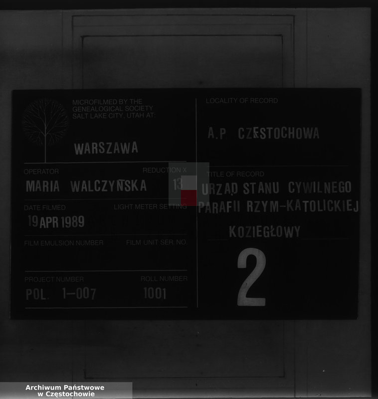 Obraz 1 z jednostki "[Duplikaty akt urodzeń, małżeństw i zgonów z 1878 roku]"