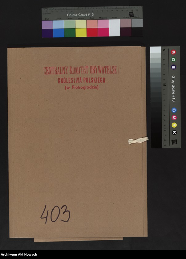 image.from.unit.number "Gostyński powiat. Warszawska gubernia.Spis wysiedlonych."