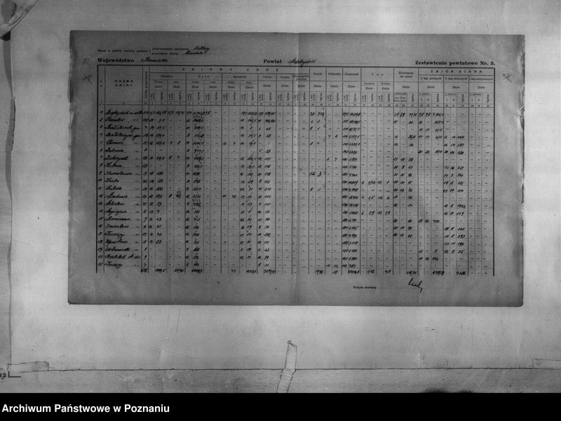 Obraz 14 z jednostki "/Statystyka produkcji rolnej - zestawienie powiatowe dotyczące zbiorów z terenu powiatu międzychodzkiego/"