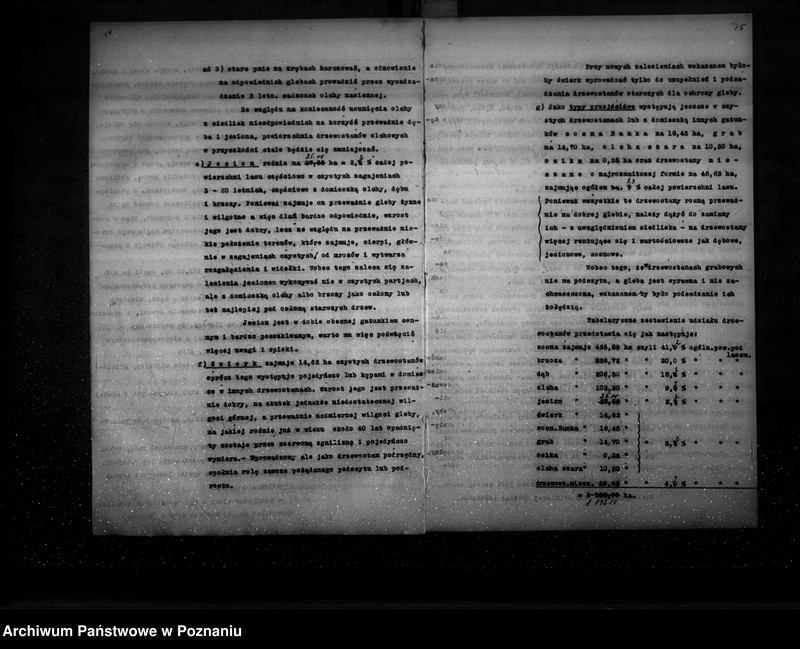 Obraz 12 z jednostki "Ogólny opis lasu majętności Września (plan cięć i plan urządzenia gospodarstwa leśnego)"