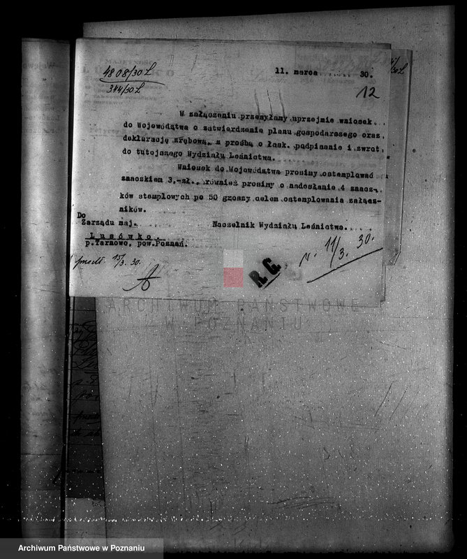 Obraz 16 z jednostki "Zarząd majętności Lusówko powiat poznański/ nadzór nad gospodarką leśną/"