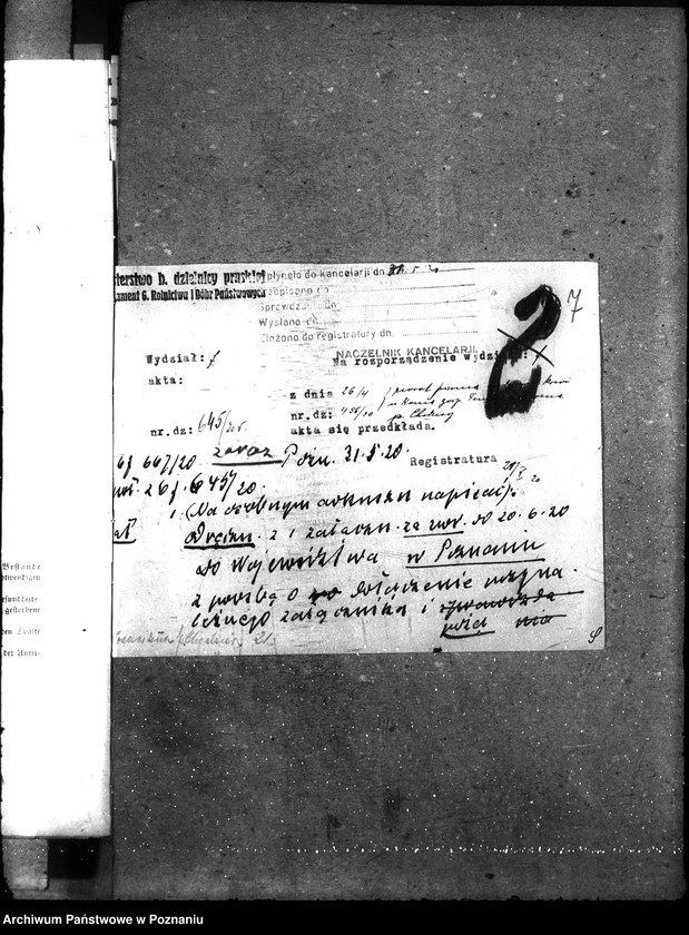 Obraz 12 z jednostki "Nosacizna - Chodzież"