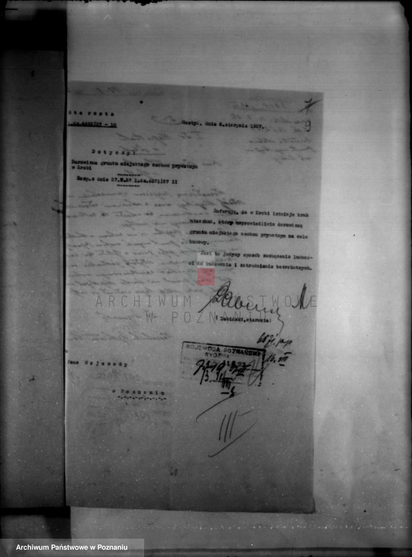 Obraz 13 z jednostki "Administracja miasta Krobi"