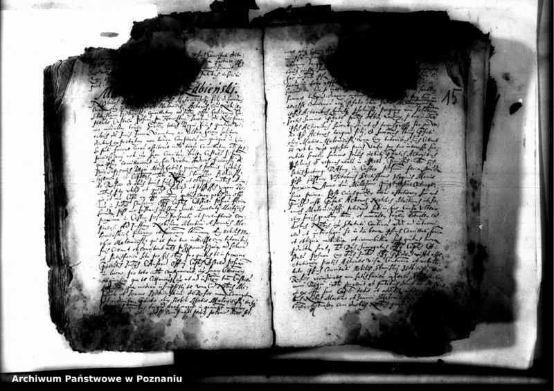 Obraz 17 z jednostki "Decreta officii [inducta]"