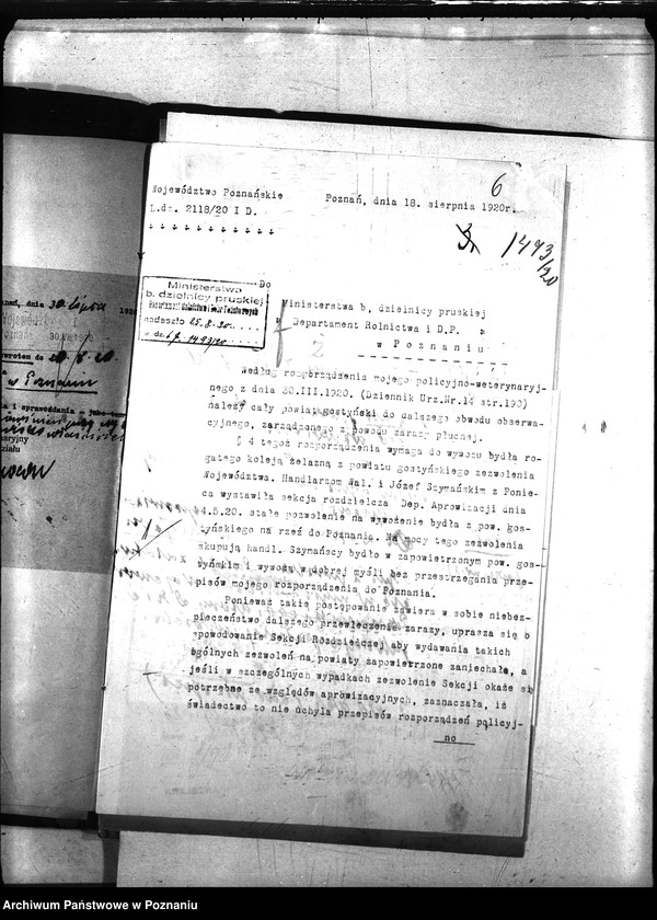 Obraz 10 z jednostki "Nosacizna - Witkowo"