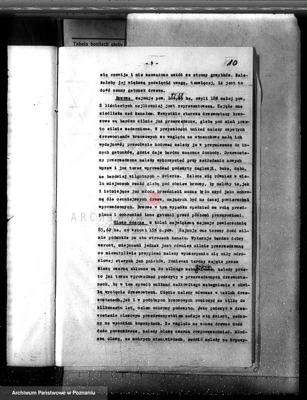 Obraz 14 z jednostki "Las majętność /Siekówko/ powiat kościański plan urządzenia 1933-1943"