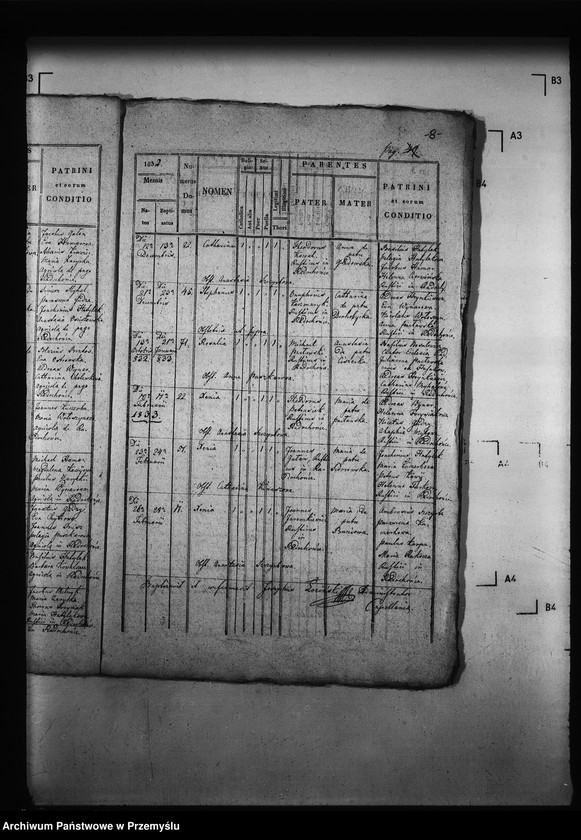 Obraz 12 z jednostki "[Kopie ksiąg metrykalnych parafii Radochońce z filią Horysławice (dekanat Niżankowice)]"