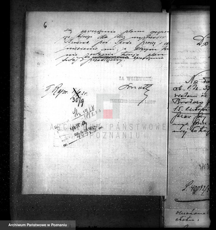 Obraz 10 z jednostki "Majętność leśna Brodowo powiat średzki"