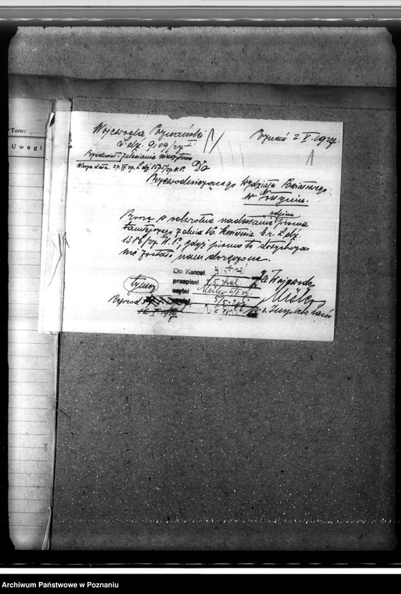 Obraz 5 z jednostki "Zalesienie nieużytków w powiecie gostyńskim"