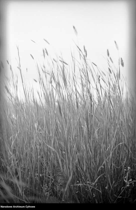 image.from.object.part1 image.from.object.part2