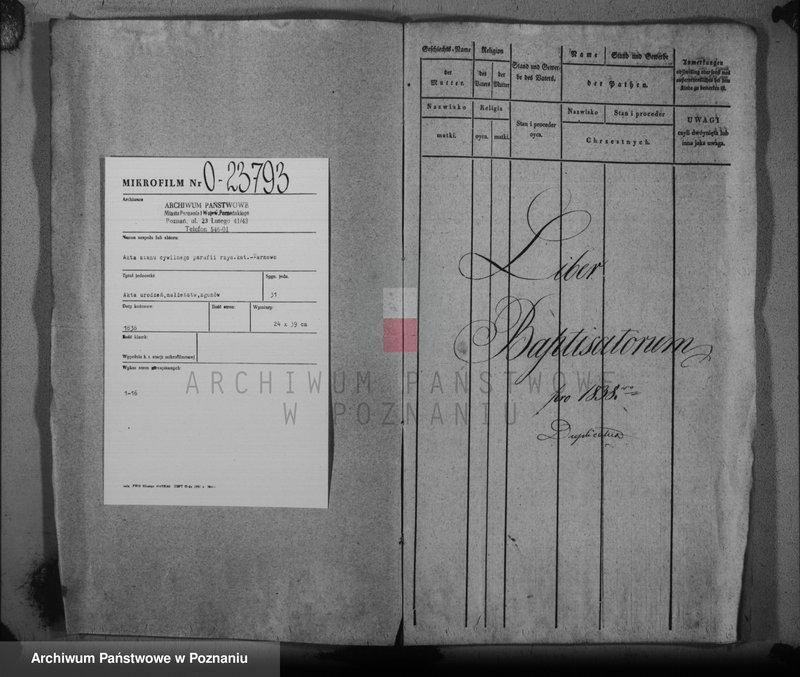 Obraz 3 z jednostki "Duplikat baptisatorum, copulatorum, mortuorum"