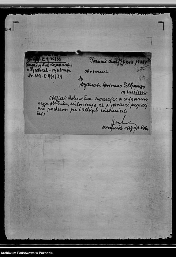 Obraz 14 z jednostki "Towarzystwo Wędkarskie w Pyzdrach"