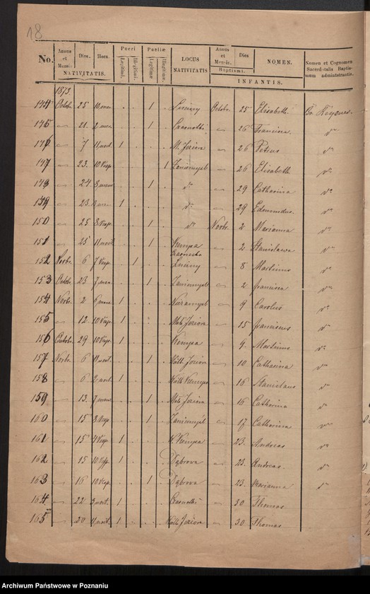 Obraz 13 z jednostki "Liber baptisatorum"