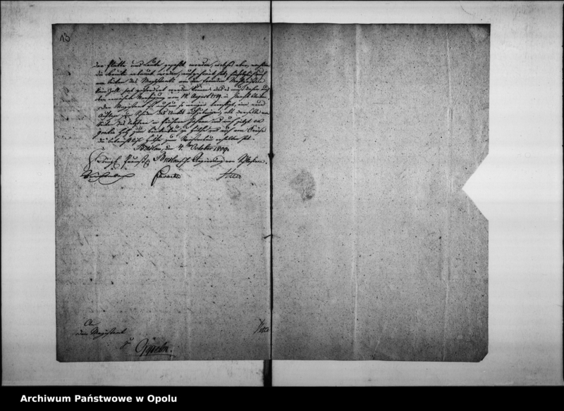 Obraz 13 z jednostki "Acta des Magistrats zu Oppeln wegen Entrichtung der Brückenzoll-Geffälle von dem fremden Mahl-Gässten, so zu den hiesigen Domain-Amts Mühlen fahren."